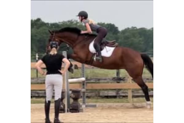 Victory Stables Equestrian Academy