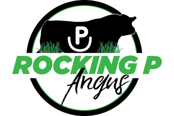 Rocking P Angus