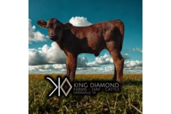 King Diamond Farms