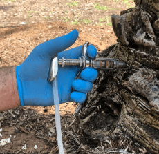 Arbor-Tech Consulting