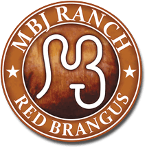 MBJ Ranch