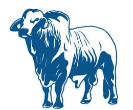 Schneider Brahmans, LLC