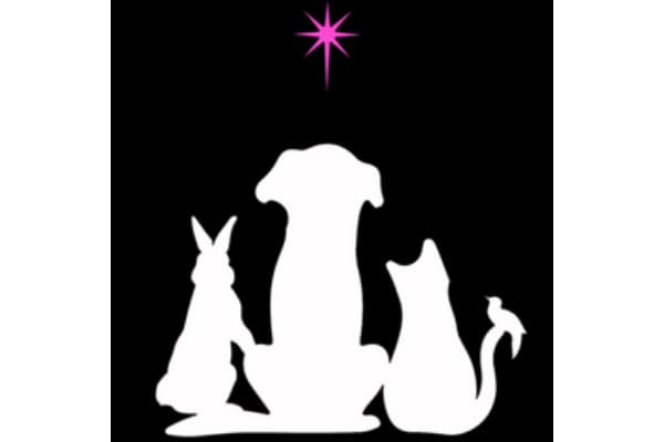 Starlight Outreach and Rescue