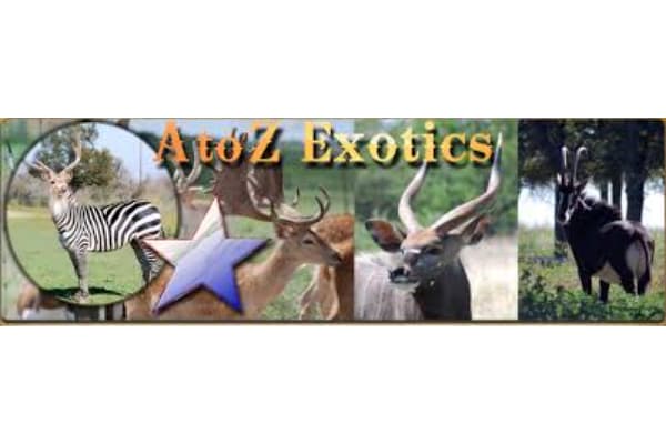 A to Z Exotics
