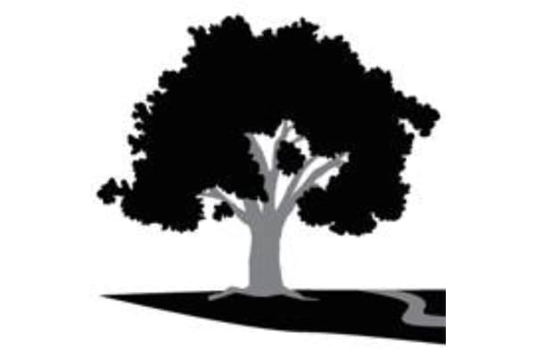 Cottonwood Creek Veterinary Hospital