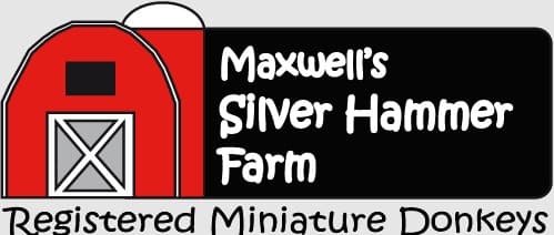 Maxwells Silver Hammer Farm