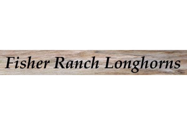 Fisher Ranch Longhorns