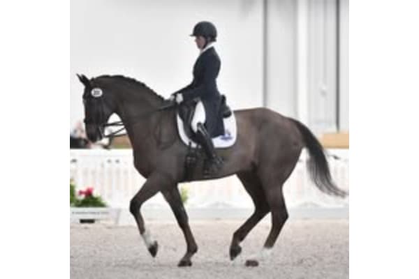 Ashley Shaw Dressage