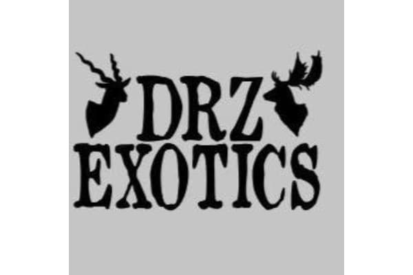 DRZ Exotics