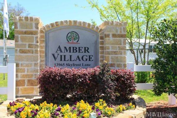Amber Village