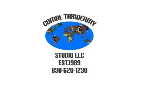 Comal Taxidermy Studio