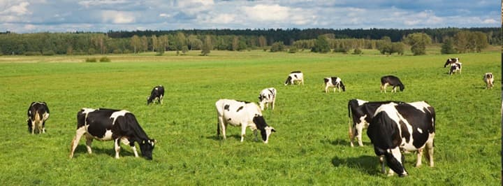 Feeders Supply Company