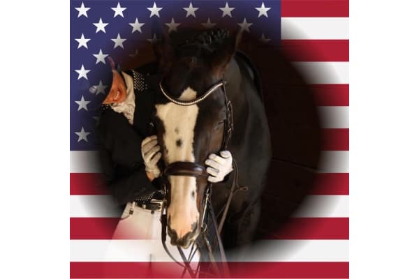 Ten Metre Circle, Home of Erika-West Dressage