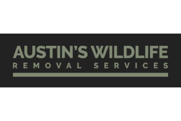 Austin’s Wildlife Removal Services