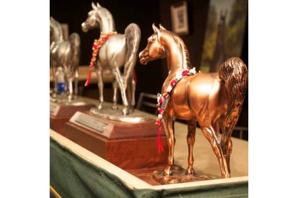 Long Meadow Arabians