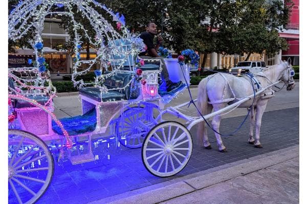 J Houston Horse and Carriage