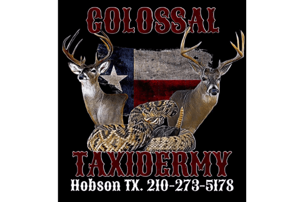 Colossal Taxidermy