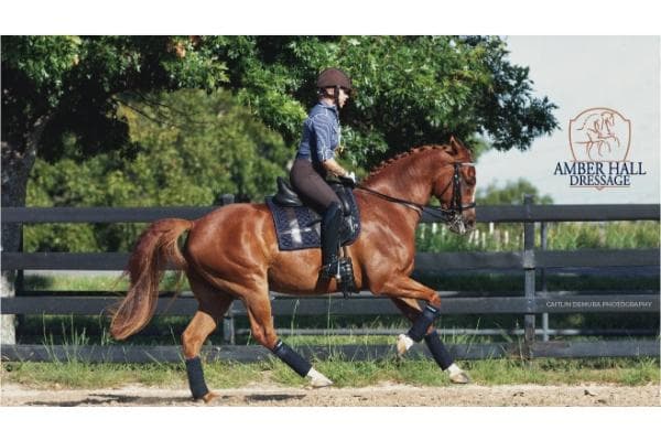 Amber Hall Dressage