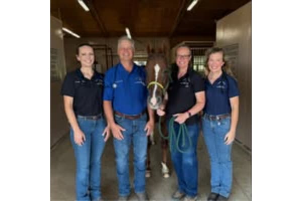 Equine Veterinary Services