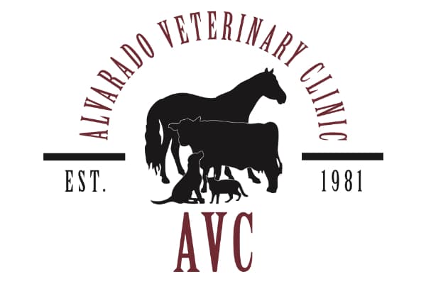 Alvarado Veterinary Clinic