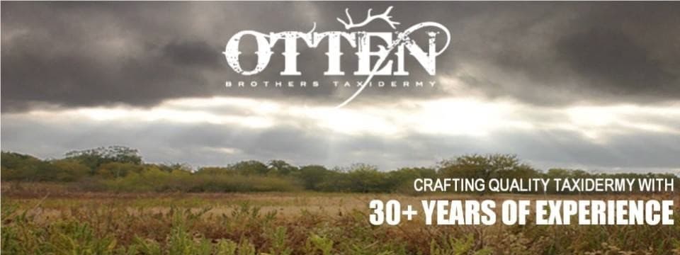 Otten Brothers Taxidermy