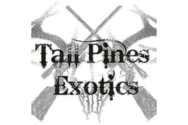 Tall Pines Exotics