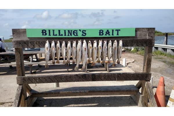 Billings Bait Stand