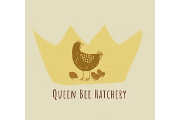 Queen Bee Hatchery