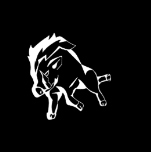 Pork Police | Guided Hog Hunts in Texas