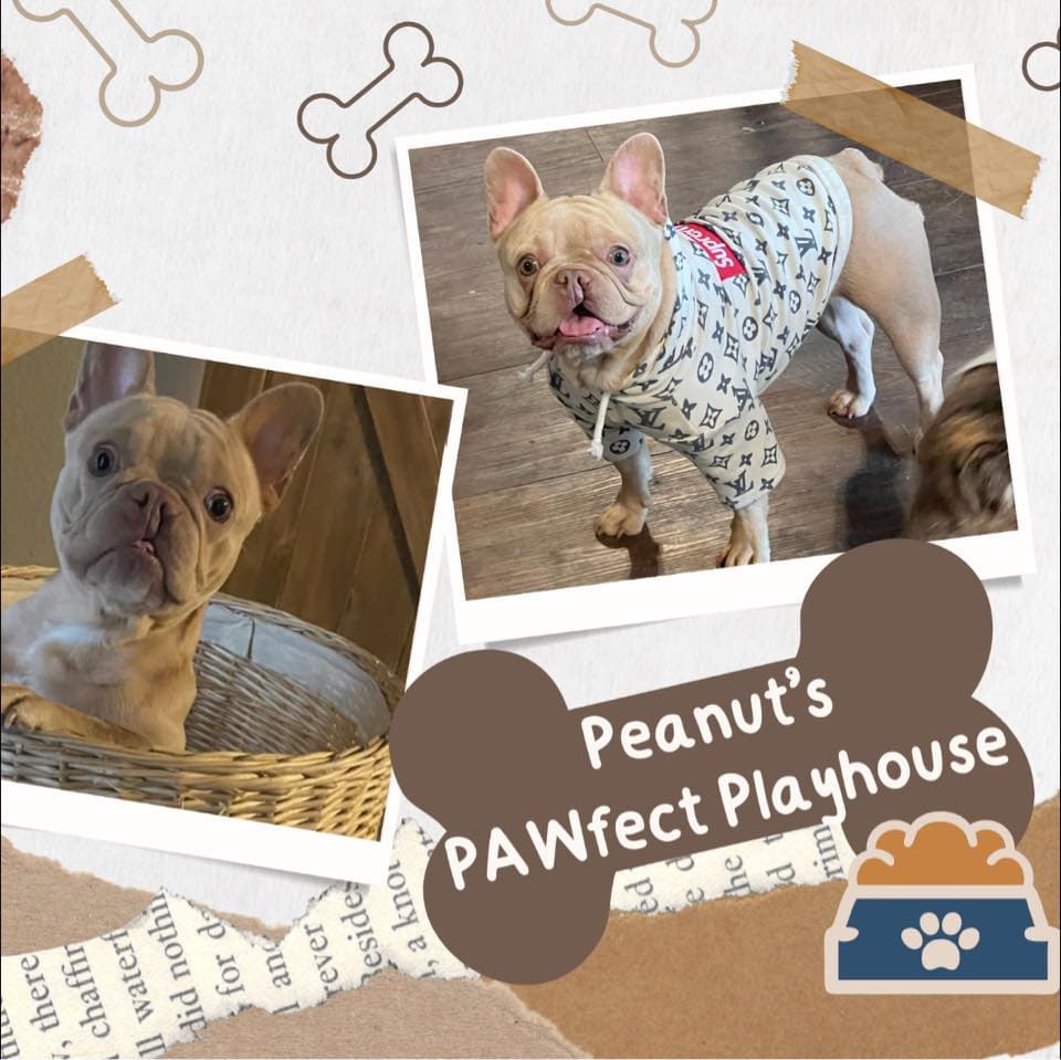 Peanut's PAW-fect Playhouse