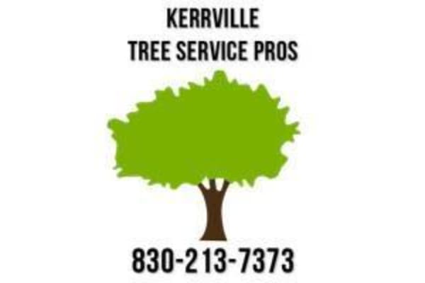 Kerrville Tree Service Pros