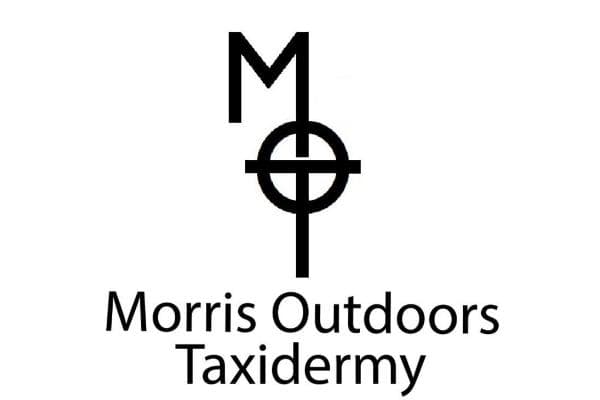 Morris Outdoors Taxidermy