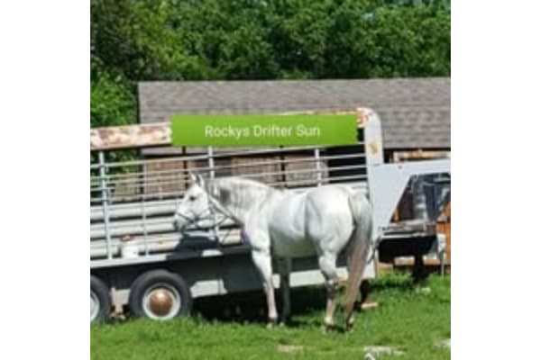 Rockys Creek Ranch /Farm & Ranch Enterprise
