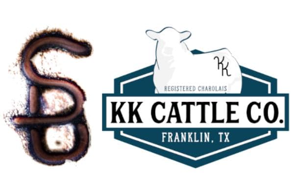 Sandbur Ranch Charolais