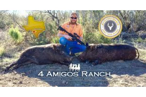 4 Amigos Ranch