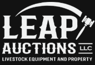Leap Auctions, LLC