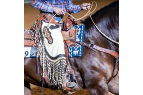 FLYING BS QUARTER HORSES