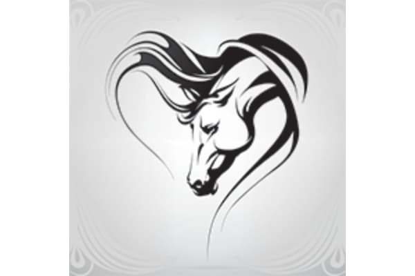 Horse Power Equine Therapy