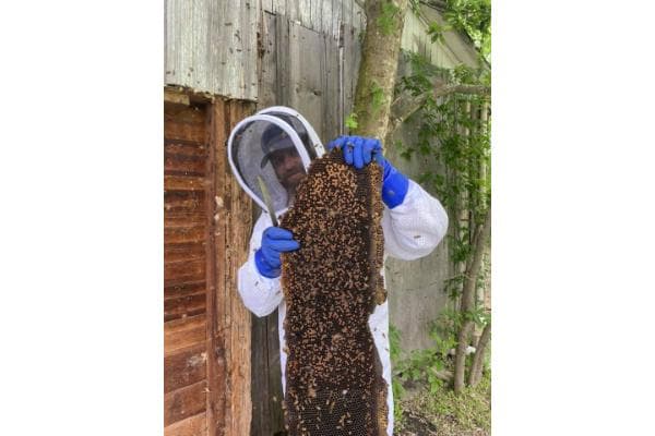 Bee Salty