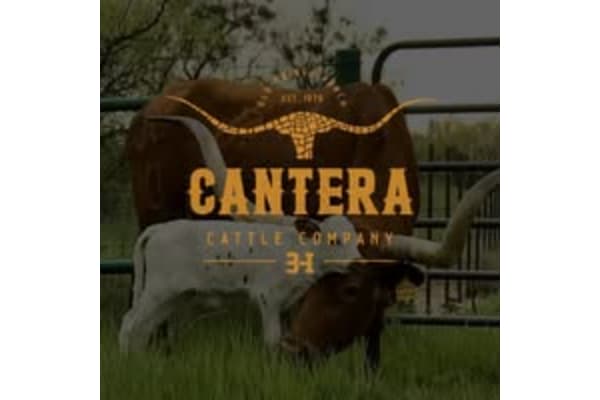 Cantera Cattle Company at Old Gringo Ranch