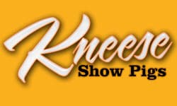 Kneese Show Pigs