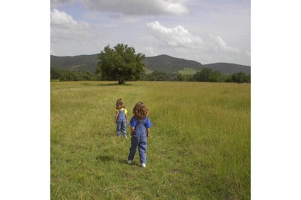 Indian Blanket Ranch & Hill Country Adventures Nature Center