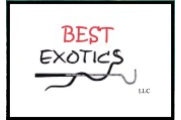 Best Exotics LLC