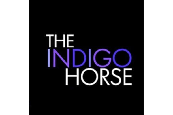 The Indigo Horse
