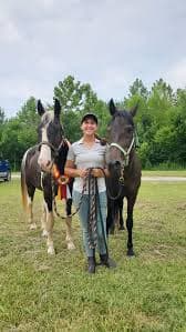 Frazier Reining Horses