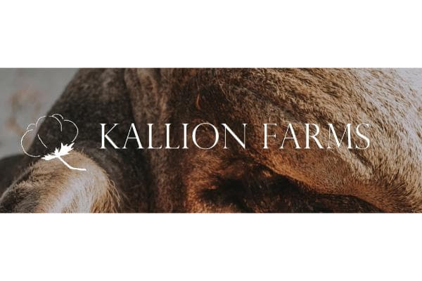Kallion Farms Brahmans