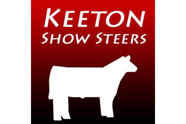 Keeton Show Steers