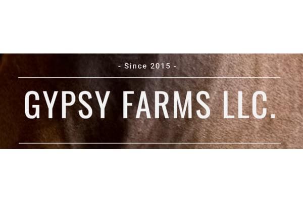 Gypsy Farms Horsemanship Academy