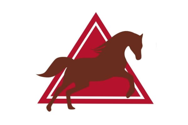 Tezmaral Arabians