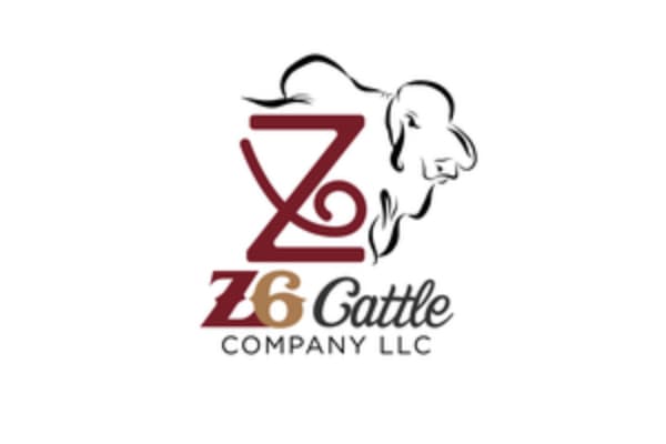 Z6 Cattle